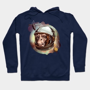 Cosmic Chimp Hoodie